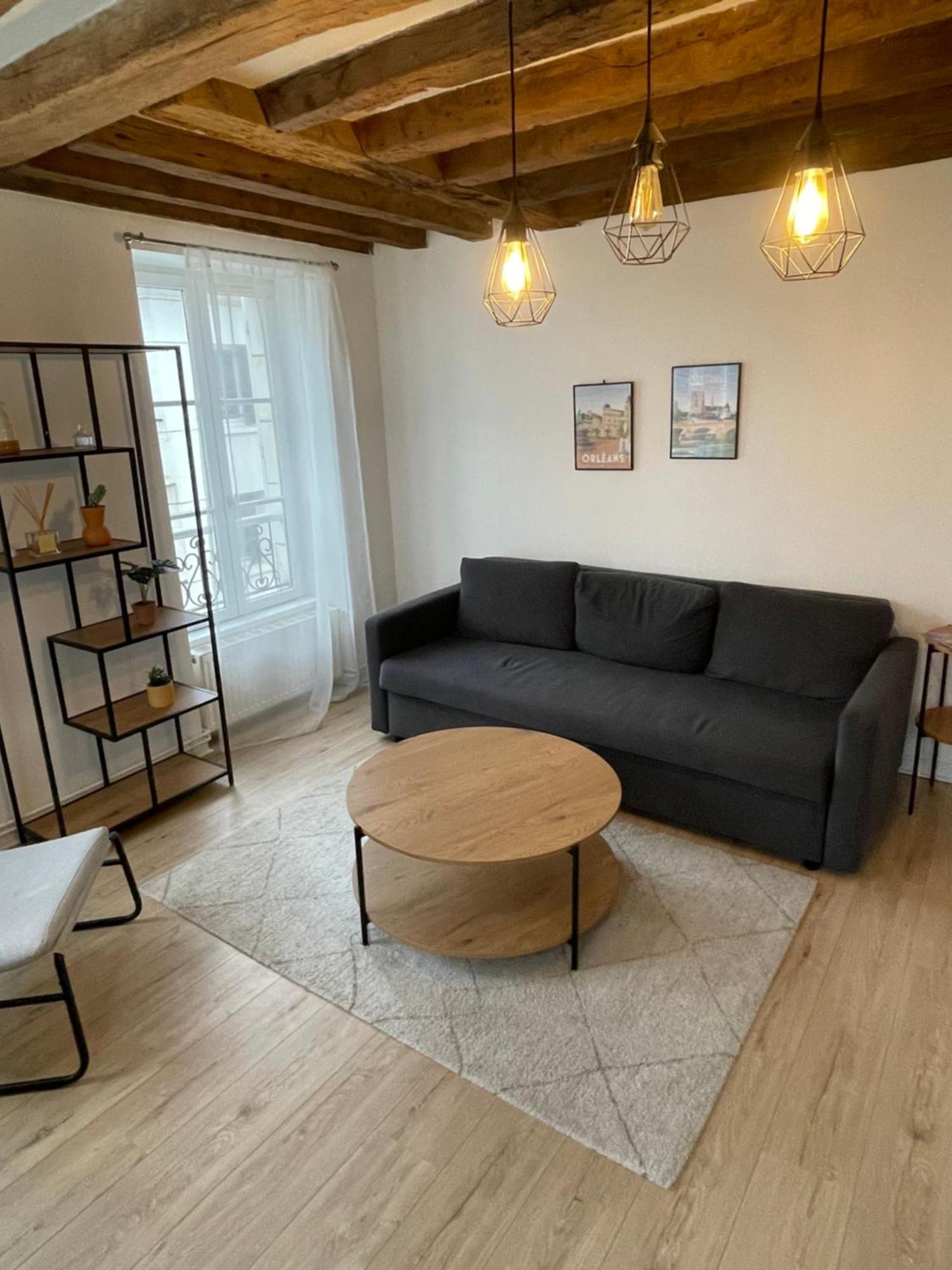 Charmant Appartement Orleans ! Eksteriør billede
