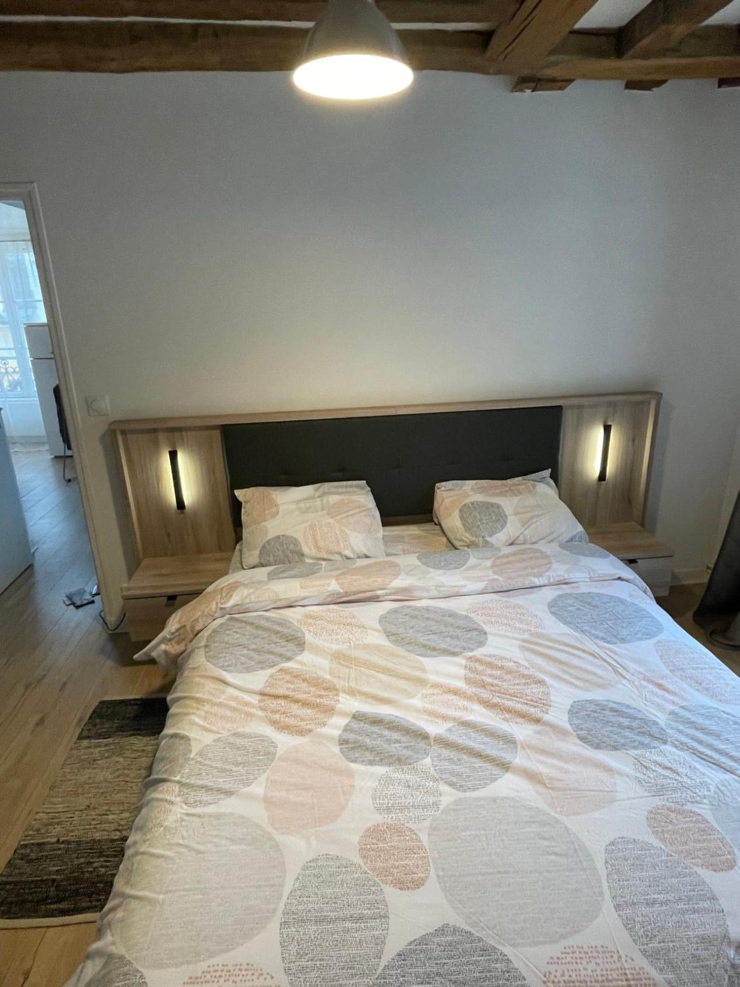 Charmant Appartement Orleans ! Eksteriør billede